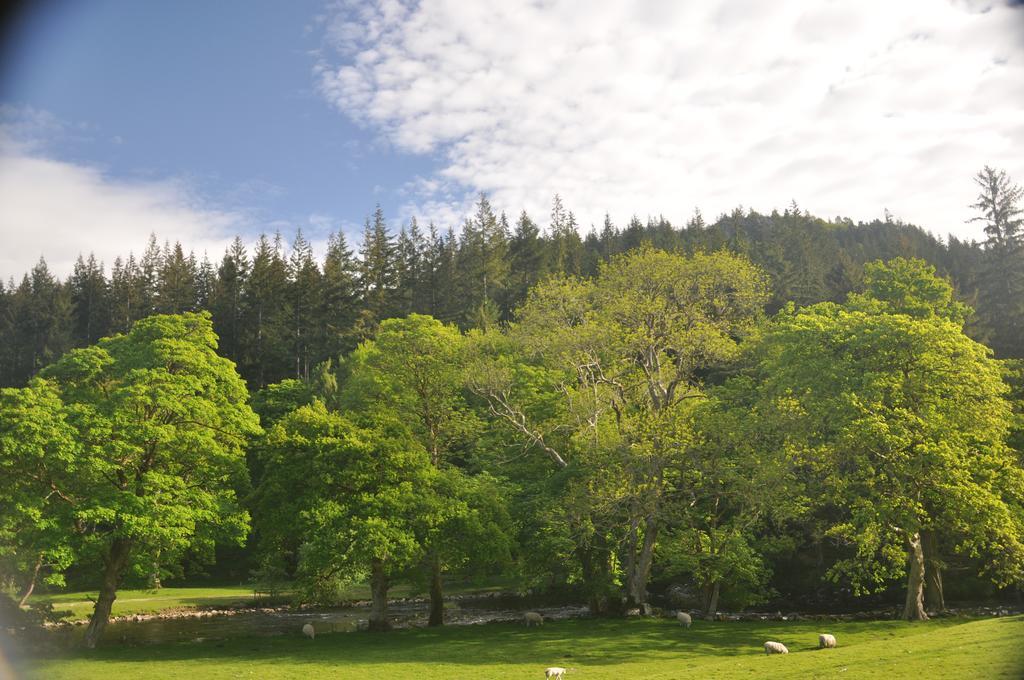 Dragon Bed And Breakfast Betws-y-Coed Exterior photo
